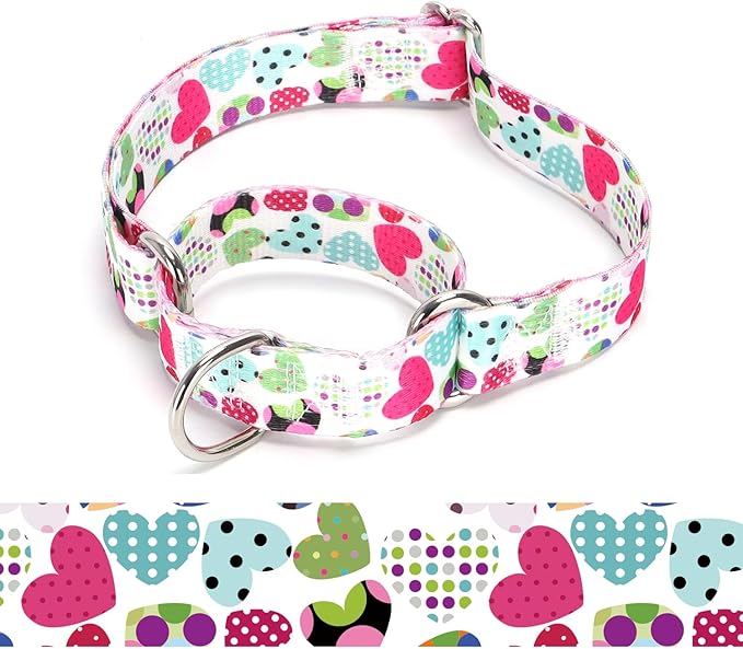 Martingale Dog Collars - Flower Multicolor Cute Patterns, Adjustable Nylon Training Dog Collar Suitable for Boy and Girl Dogs Medium Large Dogs (11, M)