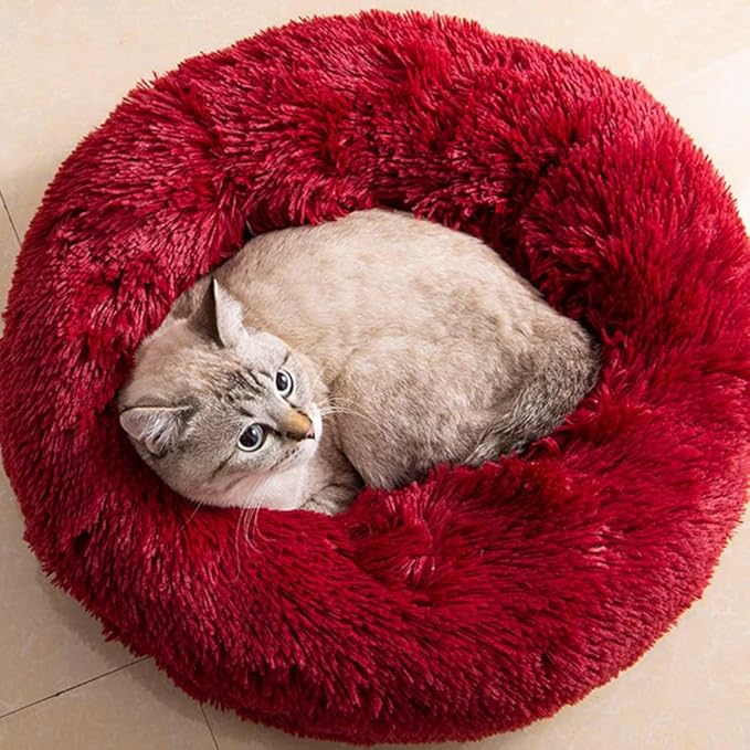 Cat Beds for Indoor Cats 24 inches,