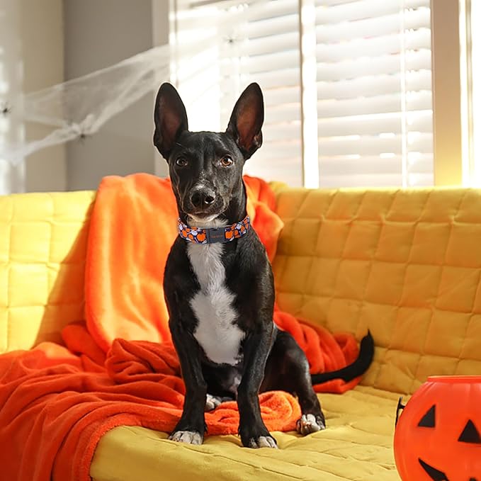 Unique style paws Dog Collar Metal Buckle Collar