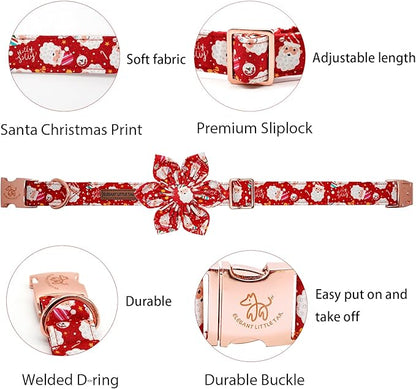 Elegant little tail Dog Collar with Flower