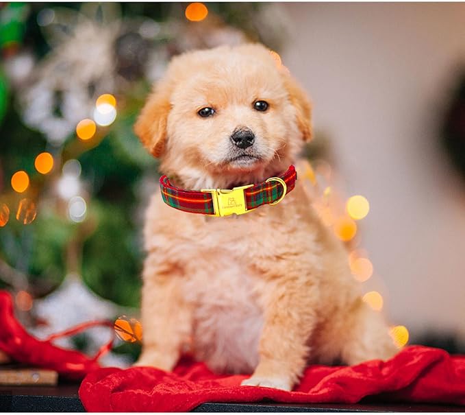 Lionheart glory Christmas Plaid Dog Collar