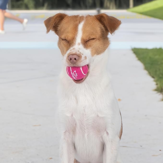 Best Pet Supplies Squeaky Tennis Toys for Dogs, 4-Pack, Heavy-Duty Interactive Pet Toys for Throwing and Fetching, Supports Exercise and Natural Behavior Training, Durable - Small