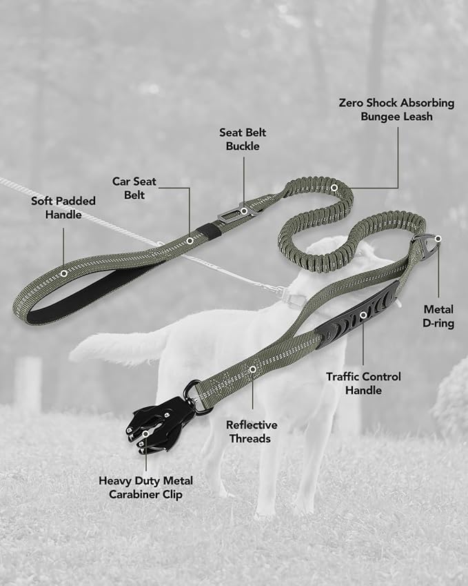 Joytale Tactical Dog Leash Heavy Duty 4-6FT Shock 2 Padded