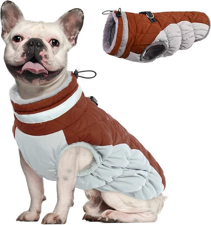 Dog Coat