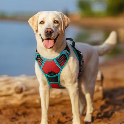 rabbitgoo Dog Harness, No-Pull Pet Harness with 2 Leash Clips, Adjustable Soft Padded Dog Vest, Reflective No-Choke Pet Oxford Vest with Easy Control Handle for Large Dogs, Red & Teal, S