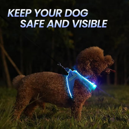 PcEoTllar Light Up Dog Harness, LED Dog Harness for Puppy Small Medium Dogs, Rechargeable No Pull Reflective Dog Harness, Flashing Lighted Dog Harness for Night Walking M