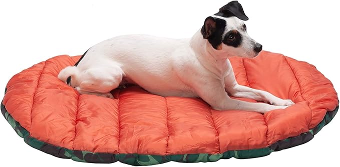 Furhaven Outdoor Travel Dog Bed for Small Dogs w/ Carry Bag
