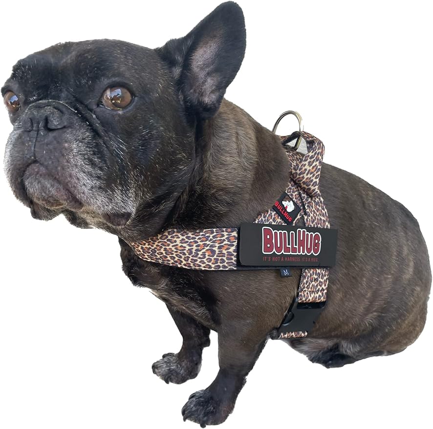 BULLHUG Harness – Made for Larger Chested Dogs Like English Bulldogs