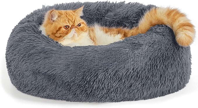 Bedsure Calming Cat Beds for Indoor Cats 20 inches, 15 lbs