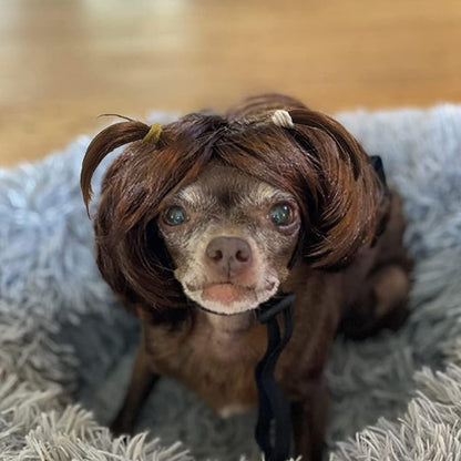 Dog Wig Pet Costumes