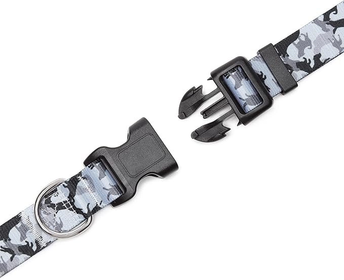 Adjustable Dog Collar with Patterns