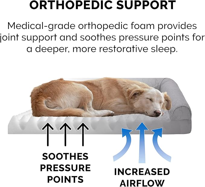 Furhaven Orthopedic Dog Bed for Medium/Small Dogs w/ Removable Bolsters & Washable Cover 35 lbs