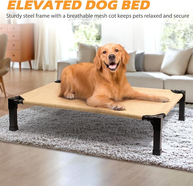 Cooling Elevated Dog Bed