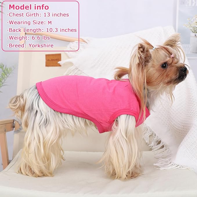 Dog Shirt Vest Clothes for Small Dogs Boy Girl Summer Solid Stretchy Puppy T-Shirts Soft Cool Breathable Lightweight Dog Sweatshirt Pet Cat Outfit