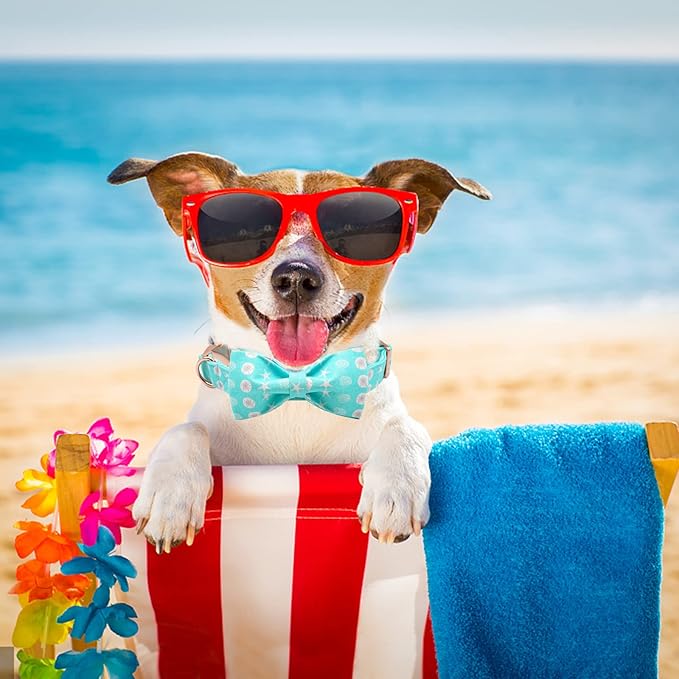 Elegant little tail Dog Collar with Bow