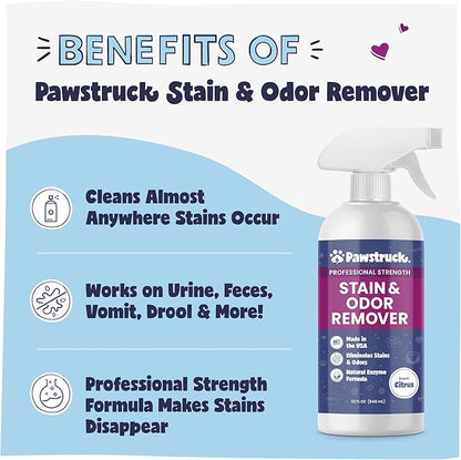 Pawstruck Professional Strength Pet Stain & Odor Remover - Natural Enzyme Cleaning Agent for Dogs & Cats - Safe Effective Smell Eliminator - 32 oz - Packaging May Vary