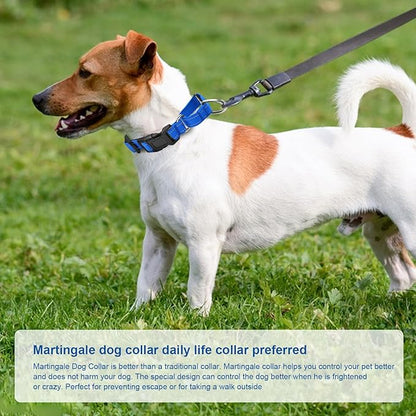 Reflective Martingale Dog Collars. Dog Collar with Quick