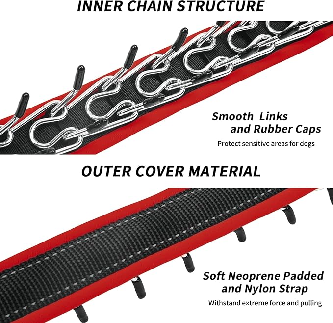 Martingale Collar for Dogs