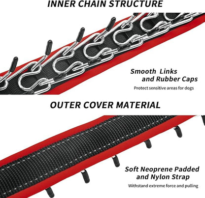 Martingale Collar for Dogs