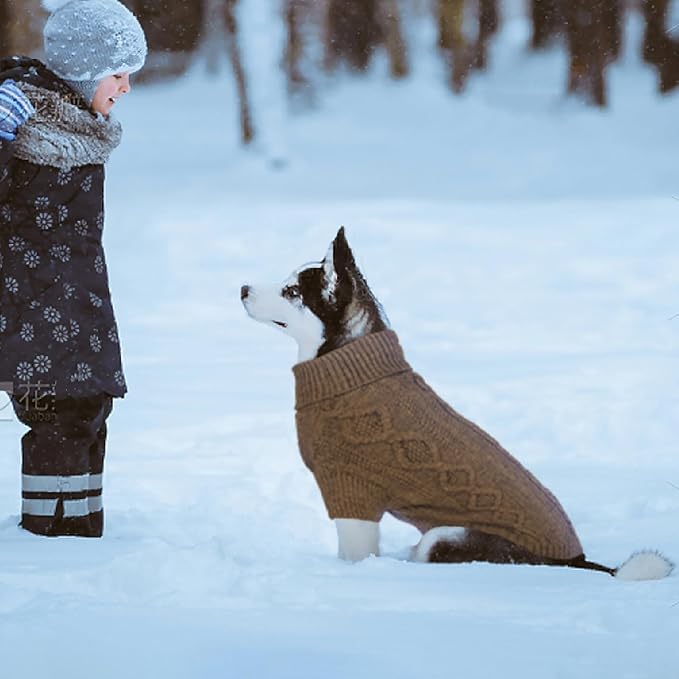Large Dog Sweater Fall