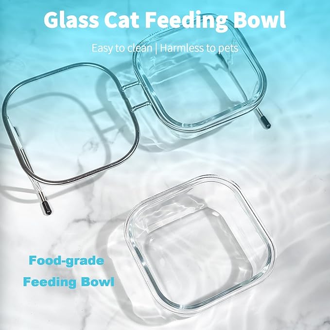 Elevated Cat Bowls, 15° Tilted Glass Raised Cat Food Bowl with Stainless Steel Stand, 2 Large Capacity Glass Cat Bowls and 4 Anti Slip Feet, Suitable for Cats and Little Dogs