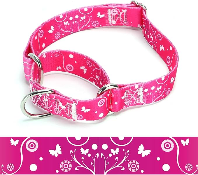 Martingale Dog Collars (2, L)