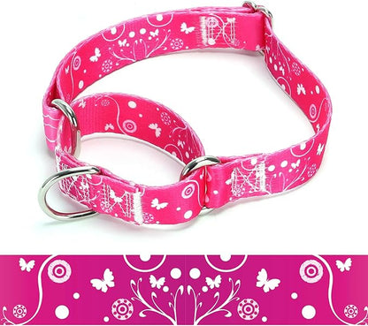 Martingale Dog Collars (2, L)