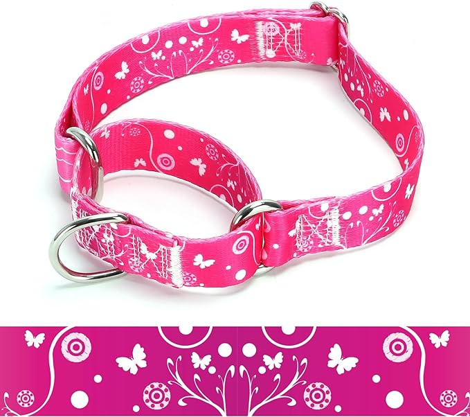 Martingale Dog Collars (2, M)