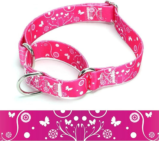 Martingale Dog Collars (2, M)