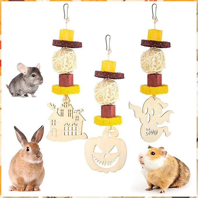 Abizoo Halloween Guinea Pig Chew Toys,3 Pcs Rabbit Toys Hamster Bunny Treats Wood for Chinchilla Rat Chew Toys Hanging Halloween Themed Decor Cage Accessories for Small Animals Teeth Enrichment Gifts