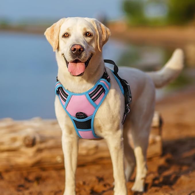 rabbitgoo Dog Harness, No-Pull Pet Harness with 2 Leash Clips, Adjustable Soft Padded Dog Vest, Reflective No-Choke Pet Oxford Vest with Easy Control Handle for Large Dogs, Pink & Blue, XL