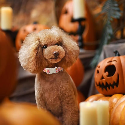 Lionet Paws Dogs Collar Fall 13.5-22 inches