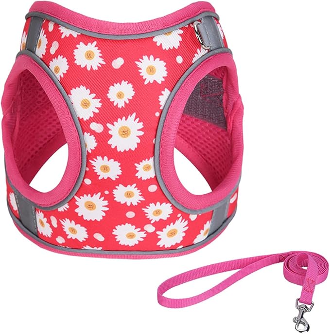 Step in Dog Harness No Pull Flower Adjustable Soft Mesh Padded Reflective Velcro Pet Vest Harness and Leash Set for Small Medium Dogs