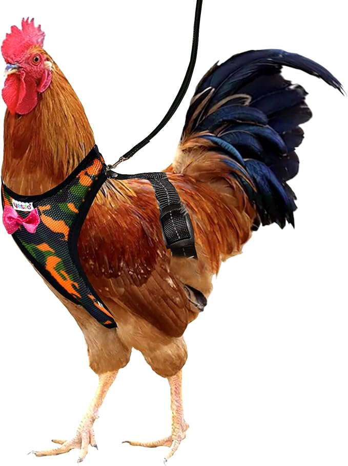 Premium Chicken Harness - Adjustable, Breathable, and Durable in Cool Camouflage Blue with Matching 5.4ft Leash for Happy Hens (Large, Camouflage Green)