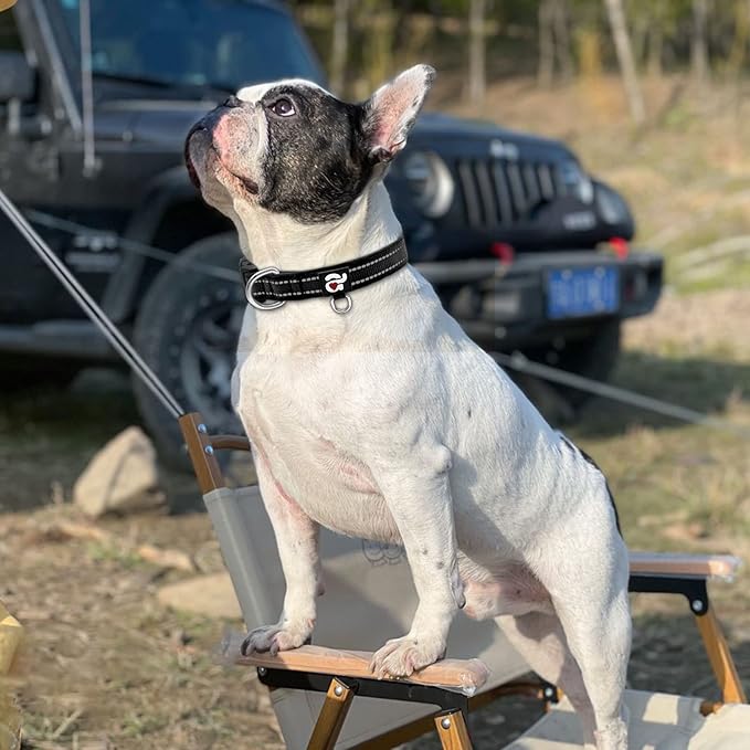 azuza Reflective Dog Collar