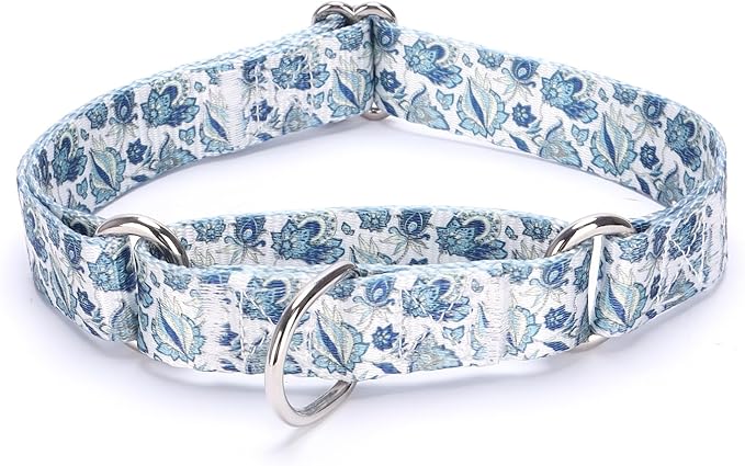 Martingale Dog Collars Blue4)