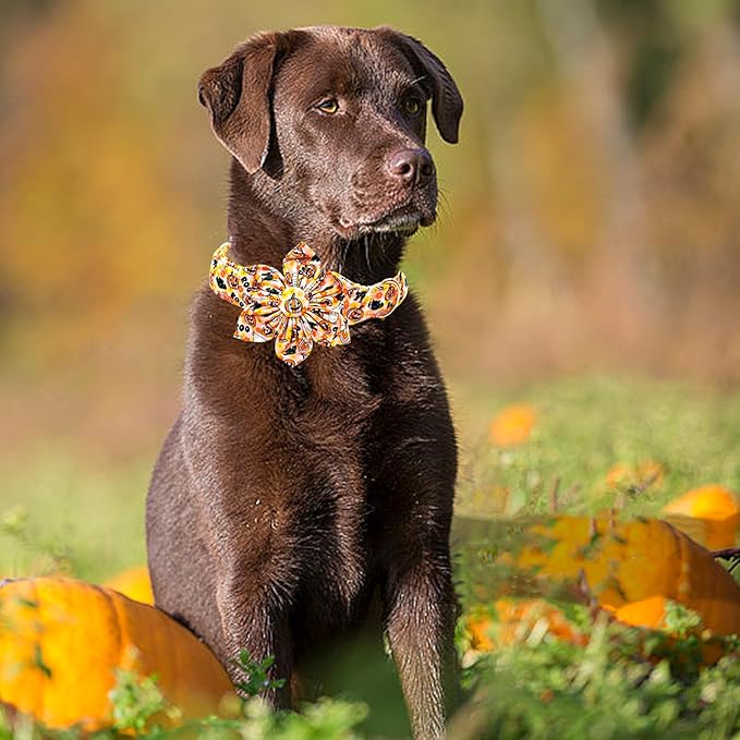 Lionheart glory Premium Halloween Dog Collars Flower Dog Collar Heavy Cotton Adjustable Fall Dog Collar for Small Dogs Pumpkin Dog Collar Flower Dog Collar with Bow Tie