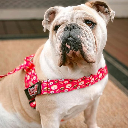 BULLHUG Harness – Made for Larger Chested Dogs Like English Bulldogs