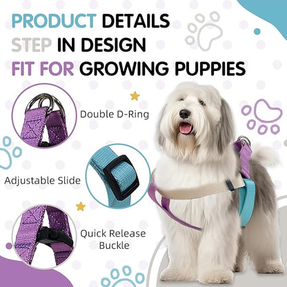 Tri-Color Dog Harness