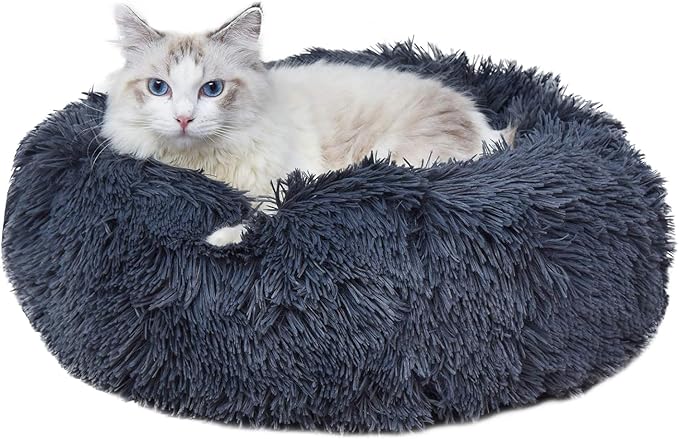 Geizire Cat Beds for Indoor Cats 20/24 Inch