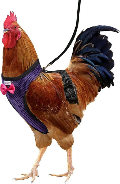 Chicken Harness Hen Size with 6ft Matching Leash – Adjustable, Resilient, Comfortable, Breathable, Small, Suitable for Chicken Weighing about 2.2 Pound,red (Small, Purple)