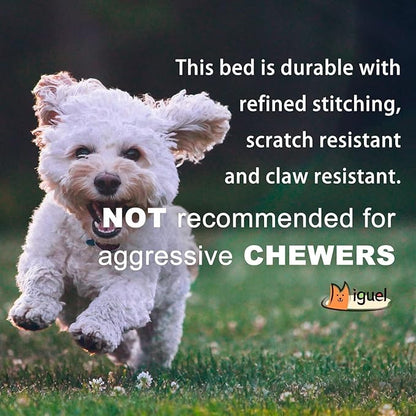 Miguel Outdoor Waterproof Cat Bed With Side 20 inch