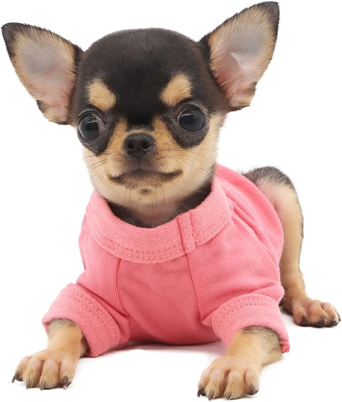 LOPHIPETS 100% Cotton Dog Tee Shirt for Small