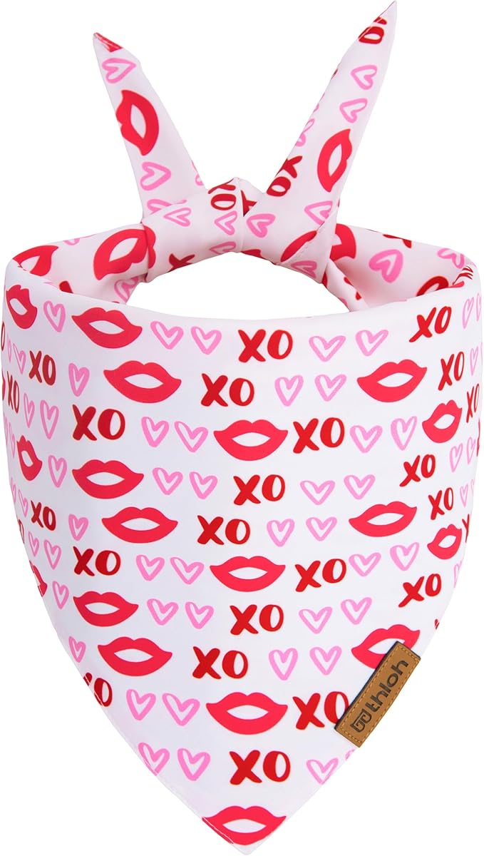 Valentines Day Dog Bandana 2 Pack