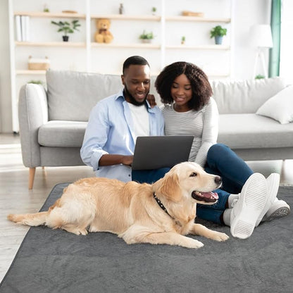 LOOBANI Washable Pee Pad for Dogs 2 Packs 36x41in, Gray