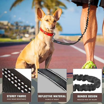 AUROTH Dog Leash 6FT, 2