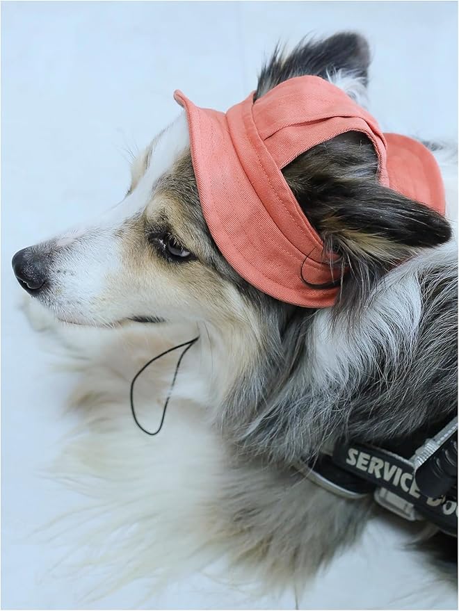 Generic Solid Dog Hat with Ear Hole Round