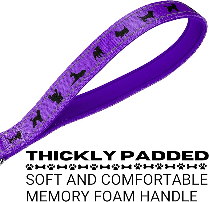 EcoBark Dog Leash - Soft & Reflective Comfort Training Leashes with Padded Handle - Strong Durable Heavy Duty - Training and Pulling for Small, Medium or Large Dogs (Purple)