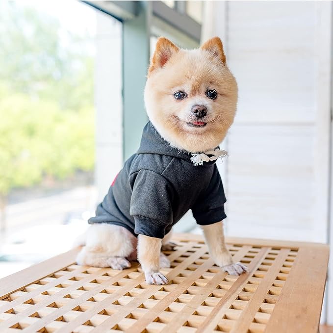 KOOLTAIL Plaid Dog Hoodie Pet Clothes Sweater with Hat and Pocket for Small Medium Large Size Dogs