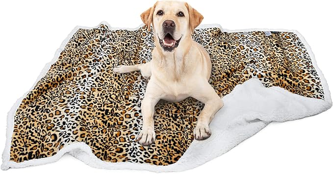 Kritter Planet Large Dog Blanket 50x60 inches